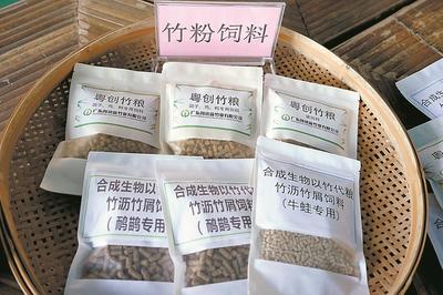 清遠(yuǎn)英德西牛鎮(zhèn) 打造“以竹代塑”“以竹代糧”綠色產(chǎn)業(yè)，推動生物飼料研發(fā)
