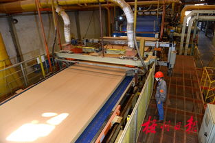 廣西三威林產工業 以創新研發驅動產業升級，生物飼料產品引領綠色新賽道